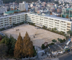 제목을-입력해주세요_-001 (51) 제목을-입력해주세요_-001 (51)