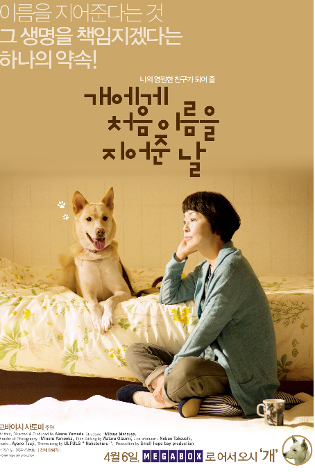 개에게