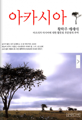 아카시아